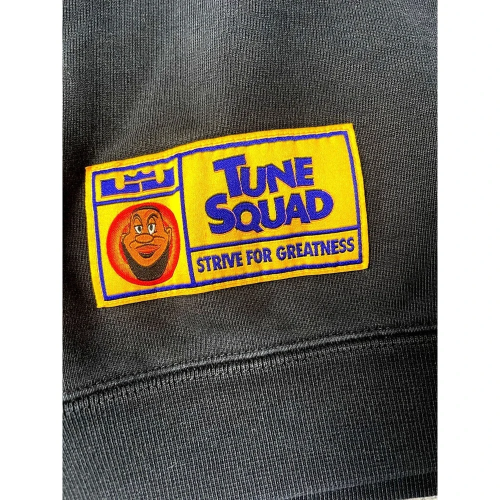 Nike LeBron Space Jam Tune Squad New Legacy Hoodie Men’s Sz Medium basketball